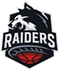 Raiders Basket